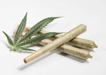 The Green Solution to Ignite the New Year with Special on Nectar Bee Oil Cartridges