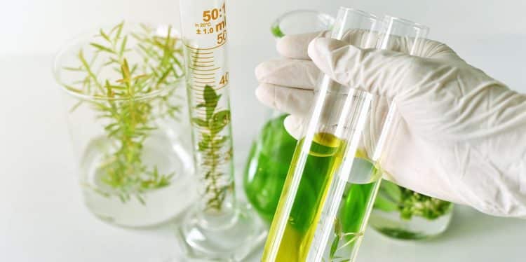 Cannabinoid Formulations for Specific Medical Diseases and Illnesses