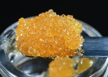 Live Resin Extraction