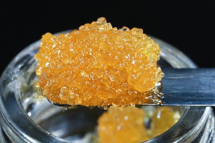 Live Resin Extraction