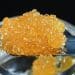 Live Resin Extraction