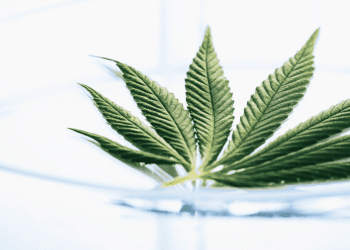 The Hydrodynamic Extraction Method Making Waves Across the Industry