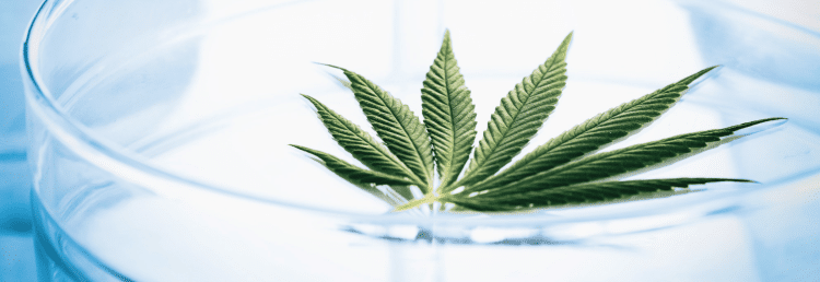 The Hydrodynamic Extraction Method Making Waves Across the Industry