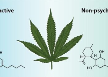 Australis Capital Invests in Folium Biosciences a Global Leader in Non-Psychoactive Cannabinoid Production