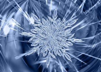 Winterization and Filtration of Cannabis Extracts