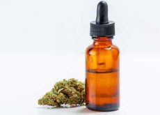 Cannabis Tinctures of the Past and the Companies