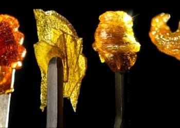 Cannabis Concentrates in 2020: Meeting consumer demands in an evolving industry