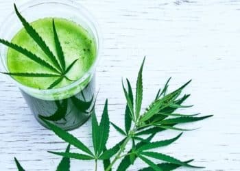 Juicing Cannabis: The Next Big Thing?