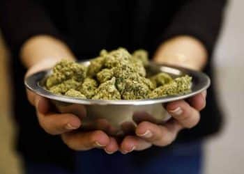 MedPharm Holdings Develops Innovative Cannabinoid Infused Dissolvable Oral Strip