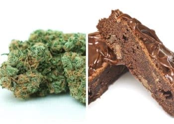 Organigram continues to chart course to launch of cannabis edibles, partners with Canada’s Smartest Kitchen to develop premium chocolate products