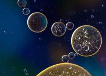 Should Lipid Levels Be Listed on the Labels of Cannabis Extracts?