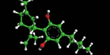 Molecules in Cannabis Extracts