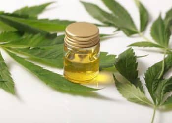 Target Group Inc. completes acquisition of Massachusetts-based CannaKorp, Inc., makers of the innovative, pod-based WISP™ Vaporizer