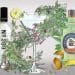BLÜHEN BOTANICALS SET FOR GLOBAL EXPANSION FOLLOWING SIGNIFICANT INVESTMENT FROM CANNABIS INDUSTRY LEADER