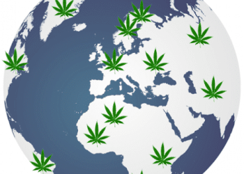 Global Differences in Cannabis Extraction and Production