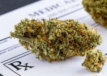 Hawaiʻi Launches Program For Visiting Medical Cannabis Patients