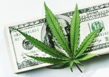 Leading Premium Cannabis Product Maker Coda Signature Wins 2019 NCIA Excellence in Innovation Award