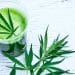 Juicing Cannabis: The Next Big Thing?