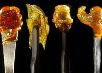 Dabbing vs. Smoking: Concentrate Content, Purity, and Control