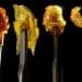 Dabbing vs. Smoking: Concentrate Content, Purity, and Control