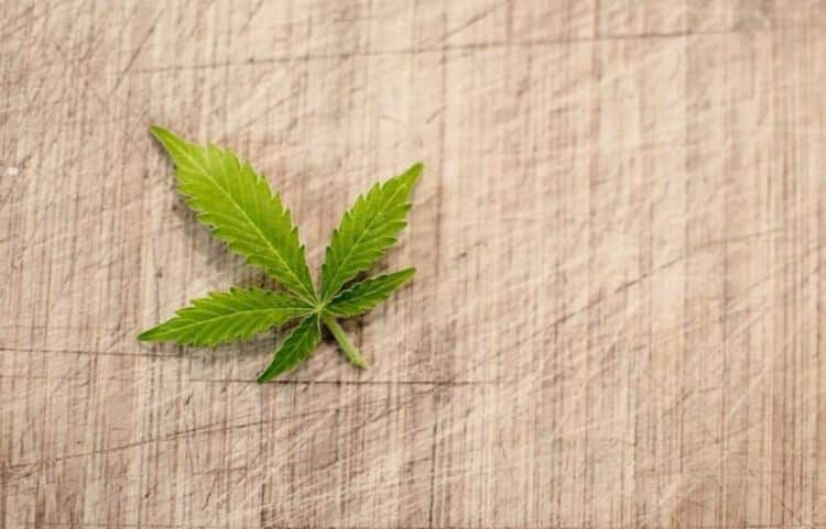 ITALIAN AND EUROPEAN HEMP EXTRACTION AND TESTING