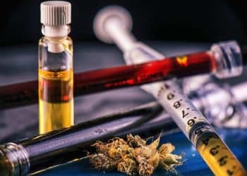 Breaking Ground on Europe’s Largest Hemp Extraction Facility