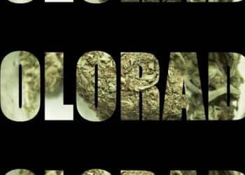 Professional Network for the Cannabis Industry Launches Out of Colorado