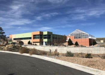 Trait Biosciences: Inspired by Nature to Change the Way Cannabinoids and Terpenes Behave