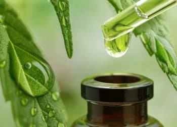 New Hemp CBD Cocktail Mixer Can Help Fight Hangovers