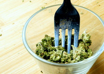 Alaska Becomes First State to Legalize Social Cannabis Consumption