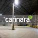 Cannara Biotech Subsidiary Global shopCBD.com Raises in Excess of $8.8 Million to Fuel U.S. Hemp-CBD E-Commerce Platform