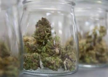 Lowell Herb Co. And Think BIG Launch Limited-Edition Pre-Roll Cannabis Pack to Benefit the Prison Arts Project