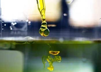 Halo to Enter Hemp CBD Extraction Market