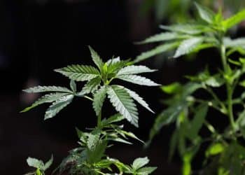 Federal Bipartisan Bill to Protect Employment Rights Introduced