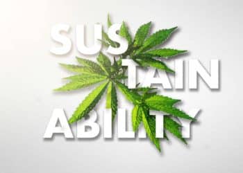 Cannabis Sustainability