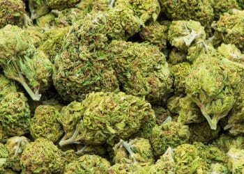 InMed Continues to Strengthen IP Portfolio for its Biosynthesis Platform Technology