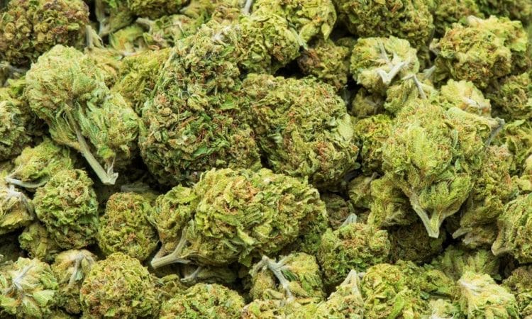 InMed Continues to Strengthen IP Portfolio for its Biosynthesis Platform Technology