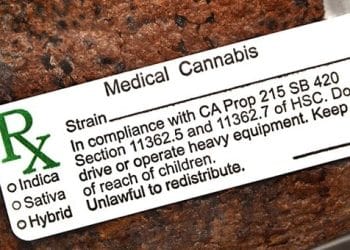 Food Safety Concerns Regarding Edibles