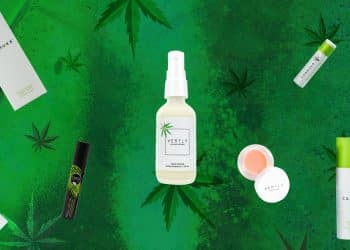 Creating a CBD Product Line: What to Know