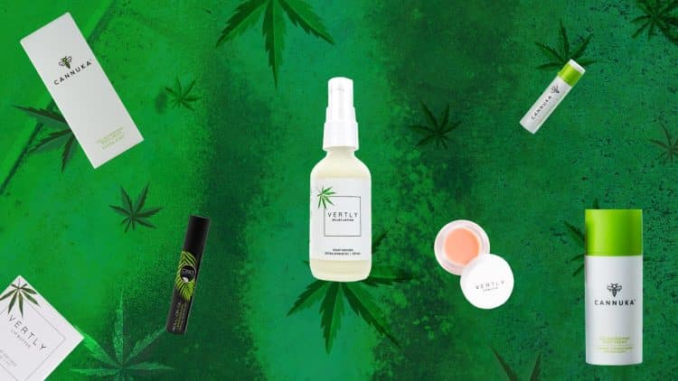 Creating a CBD Product Line: What to Know