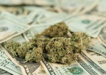 Tyson Ranch, Mike Tyson’s Cannabis Venture, Announces New Partnership With Big Foot Management, LLC