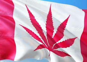 What is Canada Doing with Concentrates and Edibles?