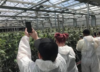 United States’ Largest Cannabis Grow Tour – Now Open to the Public