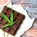 Organigram to invest $15 million in industry-leading infused chocolate innovation