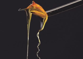 The State of Cannabis Extracts