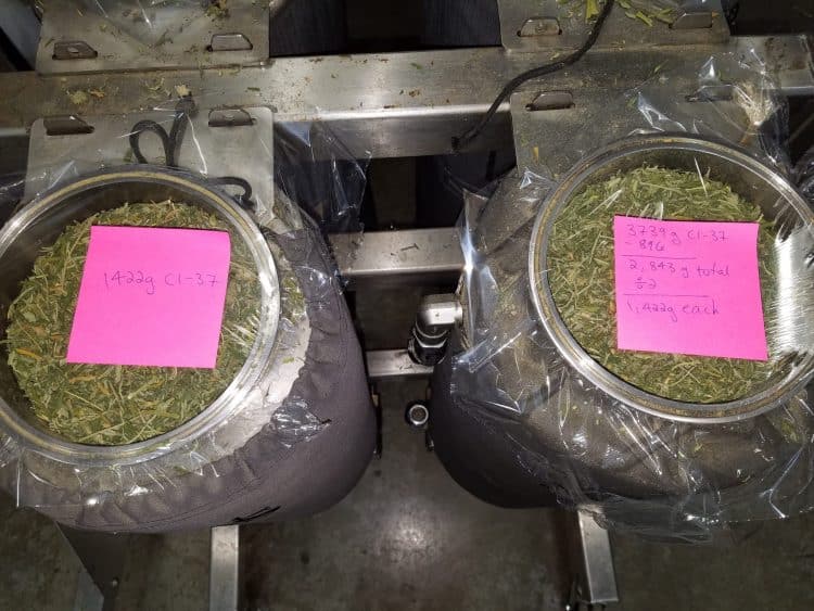 Turns Out, Size Does Matter