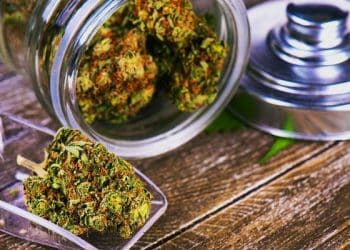 CannTrust Launches We Care National Social Responsibility Platform To Spark Social Change In Key Focus Areas