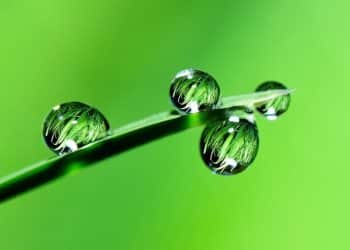 Finding Uses for Industrial Waste