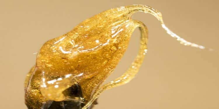 Valens substantially increases annual extraction capacity to 425,000KG with plans to increase capacity to over 1,000,000KG