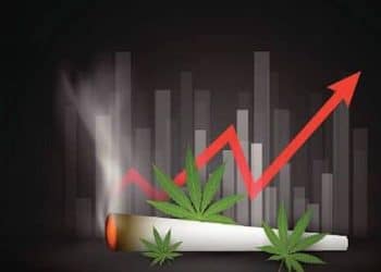 Pure Cannabis Cigarettes to be Introduced to Canadian Cannabis Market